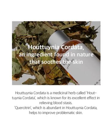 Buy mixsoon Heartleaf Essence 100ml - Soothing Hydration for All Skin Types | International Shipping - Buy Online on GoSupps.com