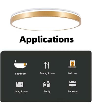 Horevo 30cm Bluetooth Ceiling Lamp - Dimmable & Color-Changing Remote Control 24W Champagne Gold Light & Speaker for Kids Room and Bedroom - Buy Online on GoSupps.com