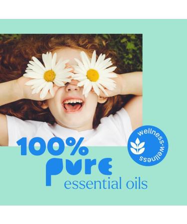 Plant Therapy Kids PoopEase Essential Oil Roll-On 30 mL (1 oz) Eases Bloating Cramps and Constipation Safe & Effective for Kids & Adults Easy Mess-Free Application - Buy Online on GoSupps.com