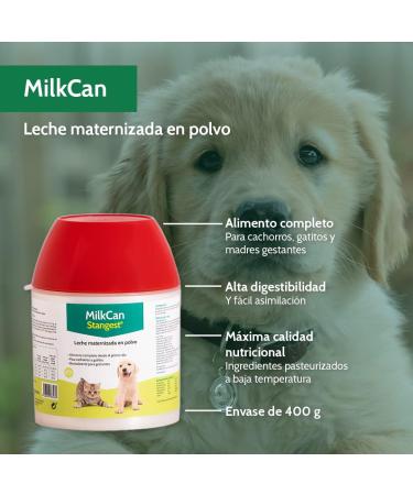 STANGEST Milk Can 400GR - Buy Online on GoSupps.com