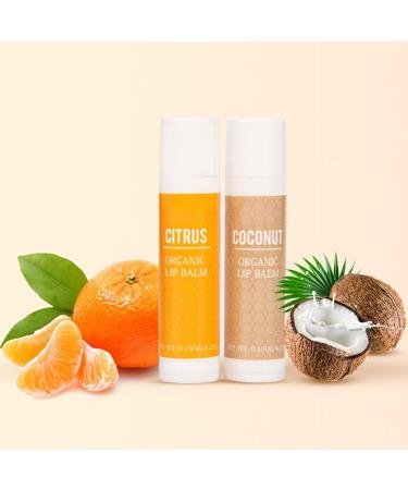 Aislor Long Lasting Lip Balm Set 6 Pack Hydrating Moisturizer for Dry And Cracked Lips Lip Care Kit with Natural Oils Soothing Formula White One Size One Size White - Buy Online on GoSupps.com