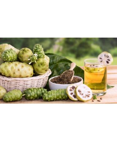 Apollo Organic Noni Juice by Morinda - Pure Noni Fruit Puree with Aloe Vera | All-Natural Daily Wellness Drink 30.5 fl oz - Buy Online on GoSupps.com