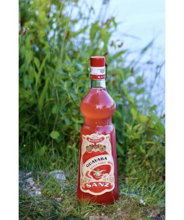  SANZ SANZ sealant slide - 1 liter bottle - Buy Online on GoSupps.com