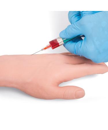 3B Scientific P50 I.V. Injection Arm Model 29.1-Inchx7.5-Inchx5.5-Inch Size - Buy Online on GoSupps.com