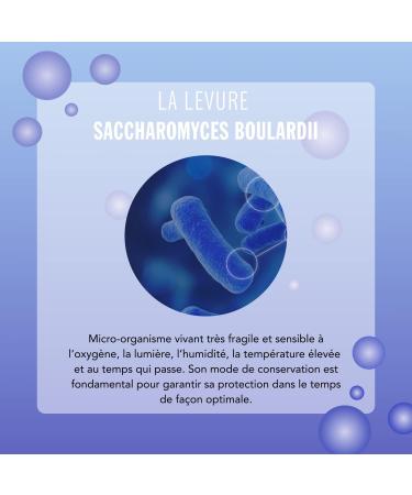 Arkopharma - Arkolevure 250 mg - Levures digestives et inuline - Bo te de 30 g lules sous blister ultra-protecteur - Cure d'un mois 1 unit (Lot de 1) - Buy Online on GoSupps.com