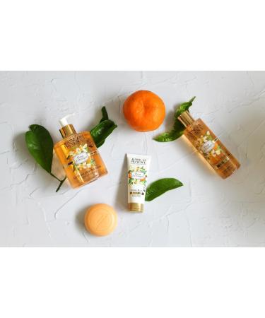JEANNE EN PROVENCE - Gel lavant pour les Mains - Parfum Fleur d'Oranger - Flacon Pompe 500 ml - 95% d'Ingr dients d'Origine Naturelle - Fabriqu en France Grasse 500 ml (Lot de 1) - Buy Online on GoSupps.com