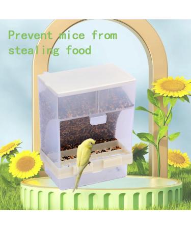 Roysmart Transparent Bird Feed Dispenser | Ideal Food Container for Budgies Canaries Nymphics & Finches - Buy Online on GoSupps.com