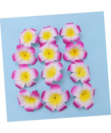 Ipetboom Accesorios Para Flower Hairpin Foam Hair Clips Hair Accessory for Girls Plumeria Hair Clips for Girls Floral Hair Accessories Tropical Flower Hair Clip Bows for Hair Hawaii Summer - Buy Online on GoSupps.com