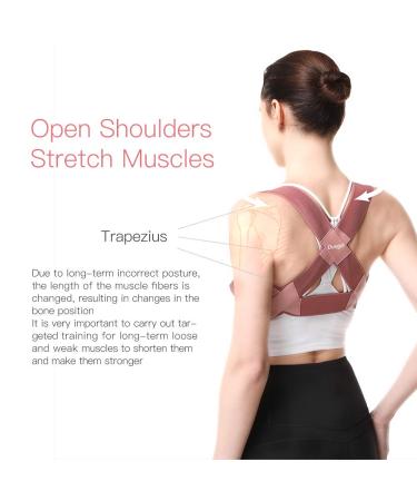 Dusgut Back Posture Corrector | Women Kids Clavicle Brace Support | Adjustable & Breathable | Pain Relief for Back, Shoulder, Neck | Size Small - Buy Online on GoSupps.com