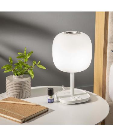 Primavera Aroma Light Emotion - Electric Fragrance Lamp & Aromatherapy - 6 Colors & Warm White for Home - Buy Online on GoSupps.com