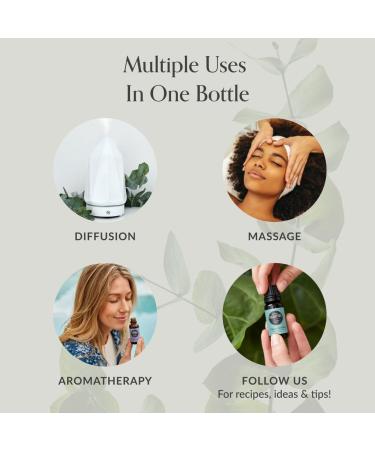 Edens Garden Yuzu Cannabliss Essential Oil Roll-On Blend- 100% Pure Premium Grade Natural Therapeutic Aromatherapy Kid & Skin Safe The Best for Body Wellness Pre-Diluted 10 ml (.33 fl oz) - Buy Online on GoSupps.com