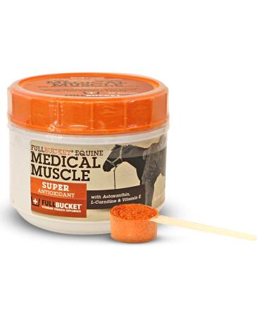 Equine Medical Muscle Recovery Athletic Muscle Recovery Horse Performance Supplement