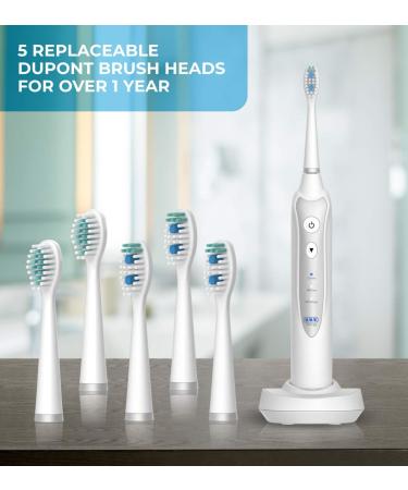 Sonic Electric Toothbrush for Adults with 5 Replacement Heads, 3 Modes & Timer | Rechargeable Travel Toothbrush - White - Buy Online on GoSupps.com