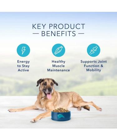 Blue Buffalo Life Protection Formula Large Breed Dog Food - Natural Dry Dog Food for Adult Dogs & Life Protection Formula Senior Dog Food - Natural Dry Dog Food for Senior Dogs - Chicke Beef + Dog Food Small Bag - Buy Online on GoSupps.com