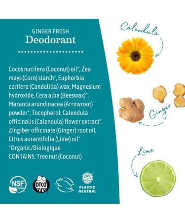 Earth Mama Ginger Fresh Deodorant | Safe for Sensitive Skin Pregnancy and Breastfeeding Contains Organic Ginger and Lime No Baking Soda or Aluminum 2.65-Ounce NEW Ginger Fresh 2.65 Fl Oz (Pack of 1) - Buy Online on GoSupps.com