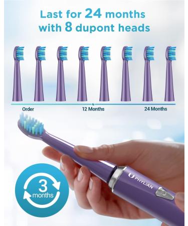 Buy Electric Sound Toothbrush for Men | 8 Heads 5 Modes IPX7 Waterproof 2-Minute Timer - H7 - Buy Online on GoSupps.com