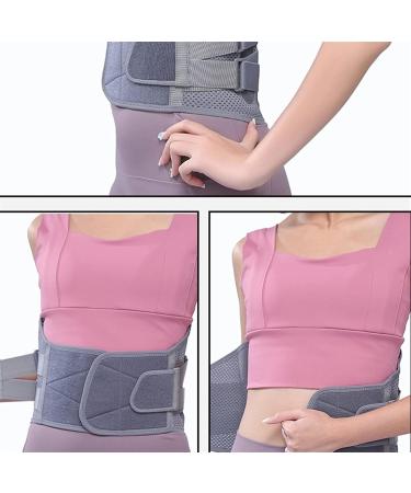Oakye Lordosis Support Waist Belt | Orthopedic Spine Protection for Men & Women | XL & Medium Sizes | Intervertebral Disc Treatment - Buy Online on GoSupps.com