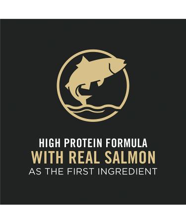 Purina Pro Plan LiveClear Probiotics Allergen Reducing Weight Management Adult Dry Cat Food 3.5 lb Bag - Salmon & Rice - Buy Online on GoSupps.com