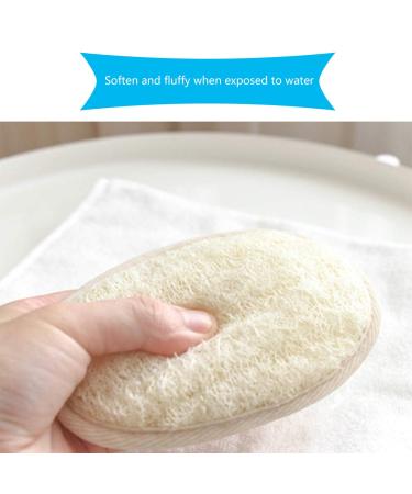 Buy Smatime Natural Luffa Sponge Set - 2 Pieces Peeling Shower Pads for Body Care & Massage | Perfect for Home & Hotel Bathrooms - Buy Online on GoSupps.com
