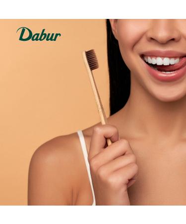 Dabur Fluoride Free Toothpaste Sensitive Toothpaste with Miswak for Gum Health Enamel Protection & Tartar Remover for Teeth Plaque Remover Gums & Freshens Breath (Pack of 3) - Buy Online on GoSupps.com