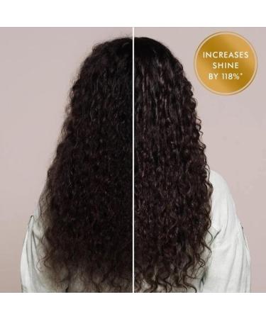 100% Pure Organic Moroccan Argan Hair Oil - Luxurious Non-Greasy Treatment for Dry Damaged Hair Growth Serum | 1.7 FL oz - Buy Online on GoSupps.com