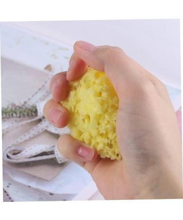Beatifufu 1pc for Bathing Shower Sponge Natural Bath Sponge Sea Sponge for Bathing Natural Sponge Greek Natural Seaweed Sponge Body Sponge Baby Mesh Ball Aldult - Buy Online on GoSupps.com