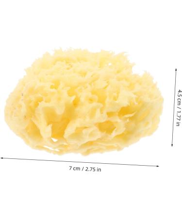 Gogogmee Moisturizer Natural Sponges for Bathing Natural Bath Sponge Sea Sponges for Shower Body Sponges Sponge for Shower Bathing Sponge Natural Sponges for Body Shower Sponge - Buy Online on GoSupps.com