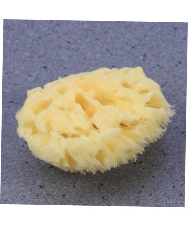 POPETPOP Sponges Bath Sponge Shower Sponge Seaweed Sponge Algae Sponge Baby Aldult - Buy Online on GoSupps.com