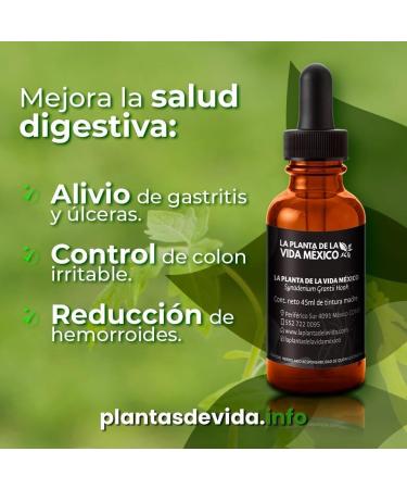 THE PLANT OF LIFE MEXICO AFRICAN MILK 45 ML - Buy Online on GoSupps.com