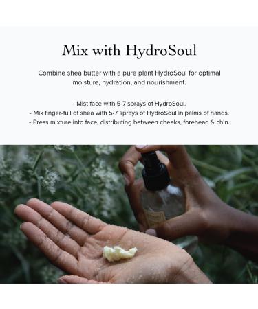 evanhealy Sanctuary Boswellia Butter | Rich & Creamy Organic Shea to Soften & Revitalize Face & Body | Essential Oil Free Moisturizer - Buy Online on GoSupps.com