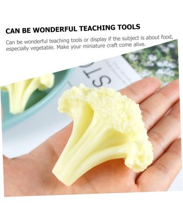 Alipis 20 Pcs Cauliflower Model Simulated Cauliflowers Model Fruit Toys Fake Vegetable Props Simulation Fake Cauliflowers Models Food Decor Faux Cauliflowers Green Plants Pvc Food Play White 4x5pcs 6X5.5CMx5pcs - Buy Online on GoSupps.com