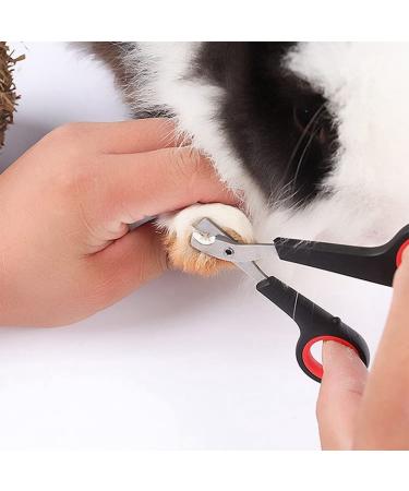 Professional Rabbit Nail Clippers: Stainless Steel Claw Trimmer for Small Animals - Guinea Pig, Ferret, Hamsters, Chinchilla, Sugar Glider - Grooming Supplies - Black - Buy Online on GoSupps.com