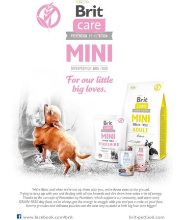 Wet food for dogs VAFO PRAHA sro Brit Care Dog Sasz.85g Mini Venison / 24 - Buy Online on GoSupps.com