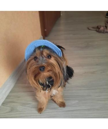 Adjustable Dog Sonnen Hat | Baseball Cap with Ear Holes | Summer Sun Protection for Small Dogs Puppies & Cats - S Blue - Buy Online on GoSupps.com