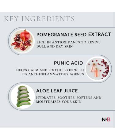 N+B Sugar Body Scrub - Invigorating & Brightening | Oil-Free Pomegranate Seed Extract | Moisturizes & Removes Impurities | 9.5oz Made in USA - Buy Online on GoSupps.com