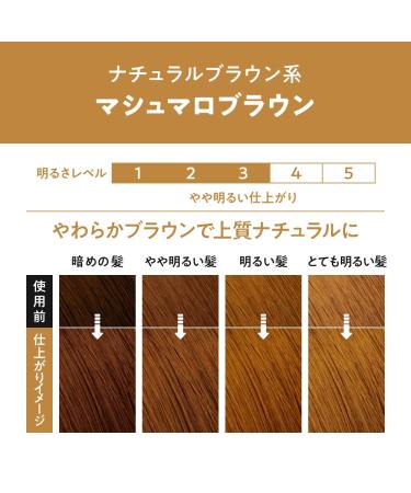Prettia Kao Bubble Hair Color Marshmallow Brown 11 - 3.38 fl oz - Buy Online on GoSupps.com