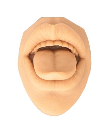 Tongue Mouth Model for Learning | Silicone Structure with Acrylic Support | Piercing Practice (Skin Color) - International Shipping Available - Buy Online on GoSupps.com