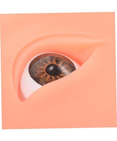 Hemoton 1 pair Eye Practice Eyeshadow Training Boards Makeup Skin Model Silicone Models Eyebrow 7.70X5.70X1.50CM As Shown - Buy Online on GoSupps.com
