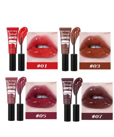 4 Colors Hydrating Glossy Liquid Lipstick Set | Moisturizing Lip Gloss & Long Lasting Lip Stain for Women - Buy Online on GoSupps.com