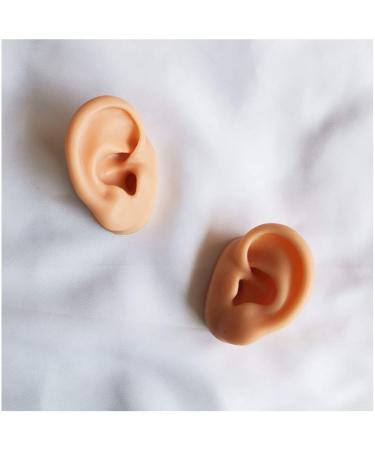 F Simulation Ear Template - Flexible Silicone Artificial Ear Template for Acupuncture Picking Picking Sweet Props View Studs - Buy Online on GoSupps.com