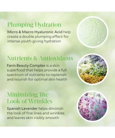 Tata Harper Repairative Moisturizer - Anti-Aging Ultra-Hydrating & 100% Natural - 50ml Citrus | International Shipping - Buy Online on GoSupps.com