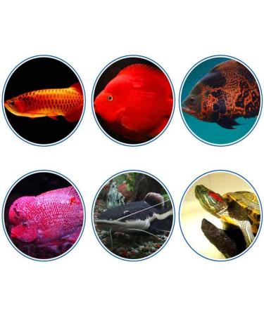for Turtle Food Dried Freeze Shrimp for Ornamental Fish Water Turtles Small Pets 1.2L 3L Resealable Can 1200ml - Buy Online on GoSupps.com