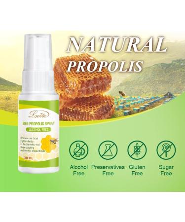 Lovita Propolis Spray - High Concentration Throat Spray | 500mg Propolis/ml, Alcohol-Free - 1 Fl Oz (Pack of 1) - Buy Online on GoSupps.com