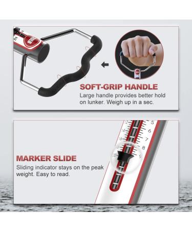 SNAIL TRAIL - 20lbs/50lbs Spring Fish Scale  Portable Fishing Scale with Hook  Large Handle Hanging Luggage Scale  Handheld Aluminum Tube Weigher for Suitcase  Gifts for Men A: 20 Lbs - Buy Online on GoSupps.com