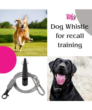 Premium Green Dog Training Whistle with Lanyard Long-Distance Recall Tool for Hunting Dogs - Buy Online on GoSupps.com