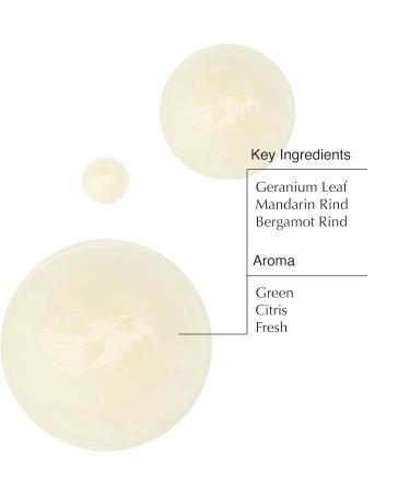 Aesop Geranium Leaf Body Cleanser & Resurrection Aromatique Hand Wash | Paraben Cruelty-free & Vegan | 16.9 oz each - Buy Online on GoSupps.com