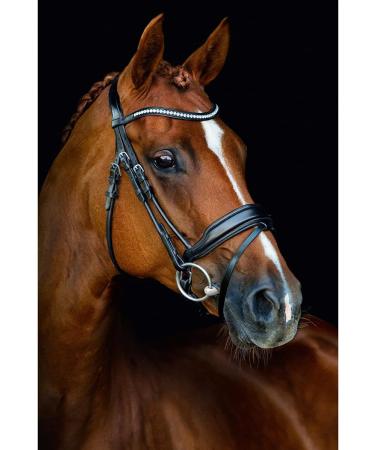 Schockem hle Malibu Anatomic Snaffle Bridle Black for Thoroughbreds - Premium Quality Equestrian Gear Worldwide Shipping - Buy Online on GoSupps.com