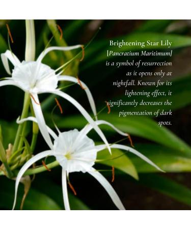 Deo Blanc 24-Hour Brightening Deodorizing Mist for Body & Intimate Dry Sensitive Shaved Skin 35ml - Buy Online on GoSupps.com