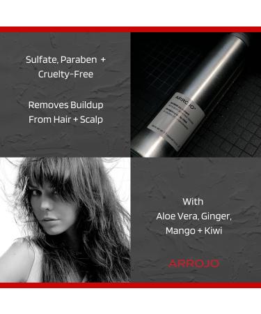 ARROJO ReFINISH Volumizing Dry Shampoo - Revitalizing Spray for Women & Men | Invisible Finish, All Hair Types | Large Size - Buy Online on GoSupps.com