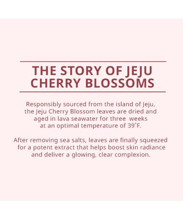 innisfree Cherry Blossom Dewy Glow Jam Cleanser - 5.29 Fl Oz (Pack of 1) - Buy Online on GoSupps.com